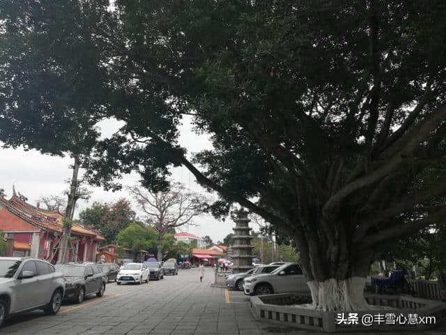 杜鹃花开的季节----雨中游同安梵天寺、梅山寺