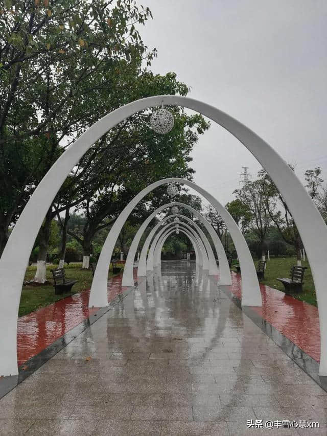 杜鹃花开的季节----雨中游同安梵天寺、梅山寺