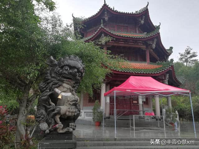 杜鹃花开的季节----雨中游同安梵天寺、梅山寺