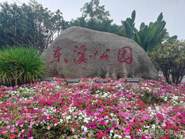 杜鹃花开的季节----雨中游同安梵天寺、梅山寺