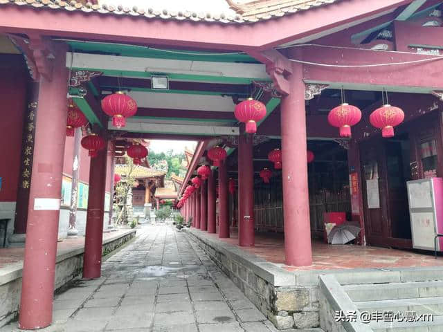 杜鹃花开的季节----雨中游同安梵天寺、梅山寺