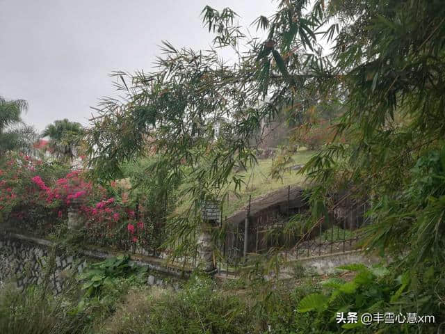 杜鹃花开的季节----雨中游同安梵天寺、梅山寺