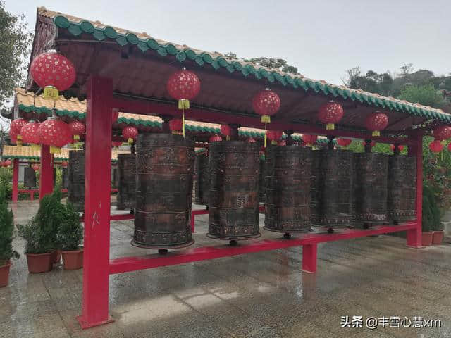 杜鹃花开的季节----雨中游同安梵天寺、梅山寺