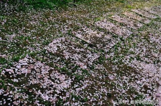 风流才子唐伯虎《落花诗》三十首