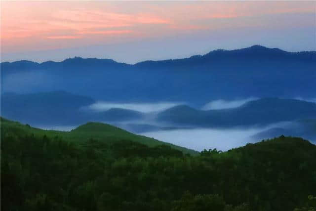 茂林修竹，人间仙境｜一起到百里竹海，感受那一抹清凉的绿意！