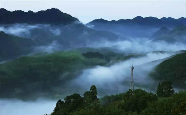 茂林修竹，人间仙境｜一起到百里竹海，感受那一抹清凉的绿意！