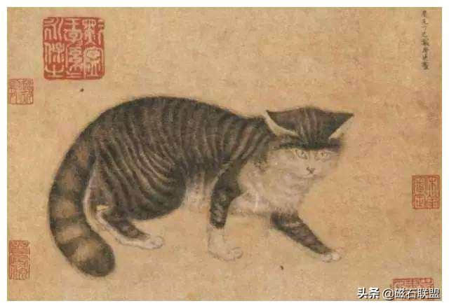 史上文人吸猫记，古代文人的爱猫情结