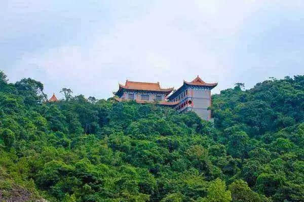 东莞观音山荣登中国国家森林公园之最，锦上添花更鲜艳