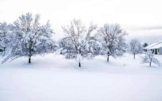 「今天小雪」15首描写雪的古诗词，你知道几首？