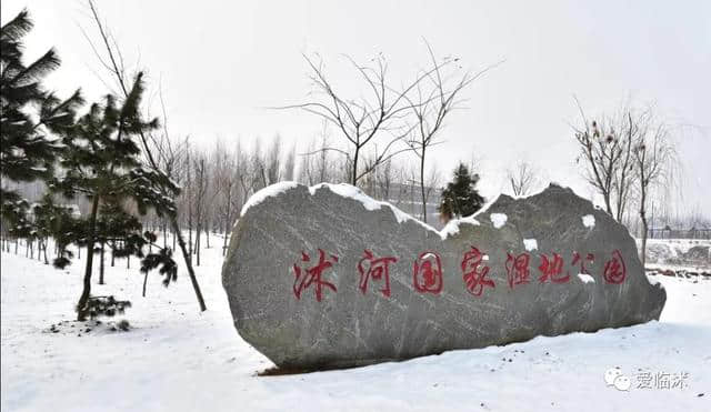 沭河古道踏雪行