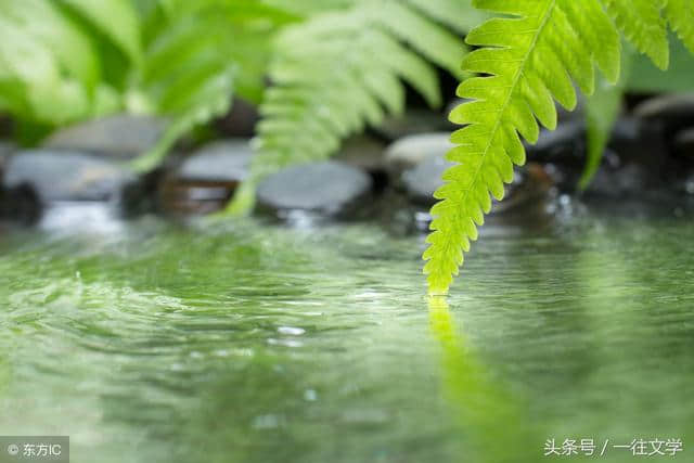 具有哲理色彩的14句古诗，什么时候记住都不晚！