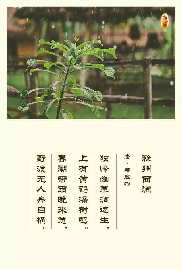 诗词欣赏：不吝笔墨夸春雨