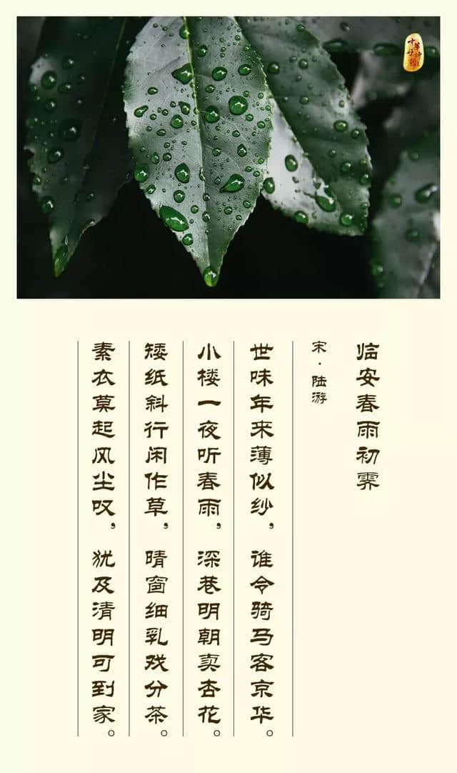 诗词欣赏：不吝笔墨夸春雨