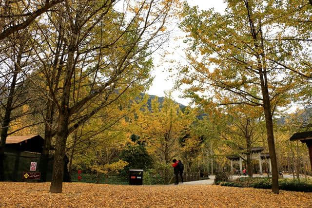 冬游诸暨——五洩风景区