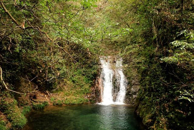 冬游诸暨——五洩风景区