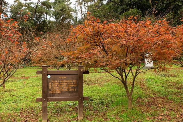 冬游诸暨——五洩风景区