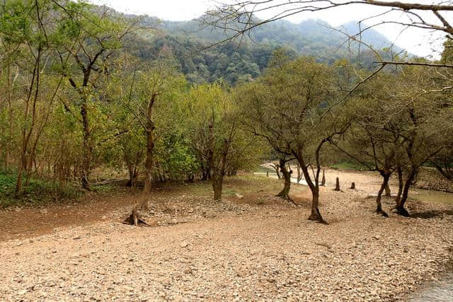 冬游诸暨——五洩风景区