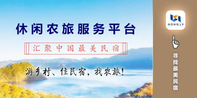 寻找温州最美民宿——走进乐清