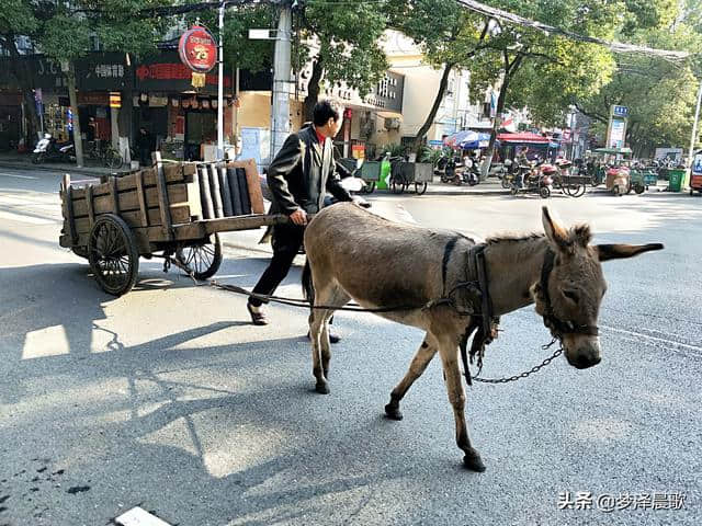 “卖炭翁”日渐消失的行当