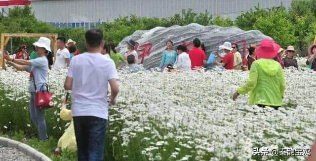 宝鸡人，快去这个地方看花海，真的太美了