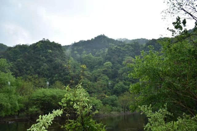 实拍：浙江诸暨五泄风景区，电视剧《水月洞天》取景地