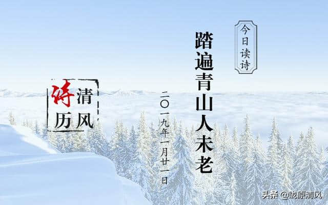 「清风诗历」今日读诗：踏遍青山人未老