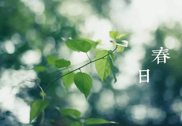 2019/4/8(90)【原创微文】独留幽谷证芳华 春日杂诗三首