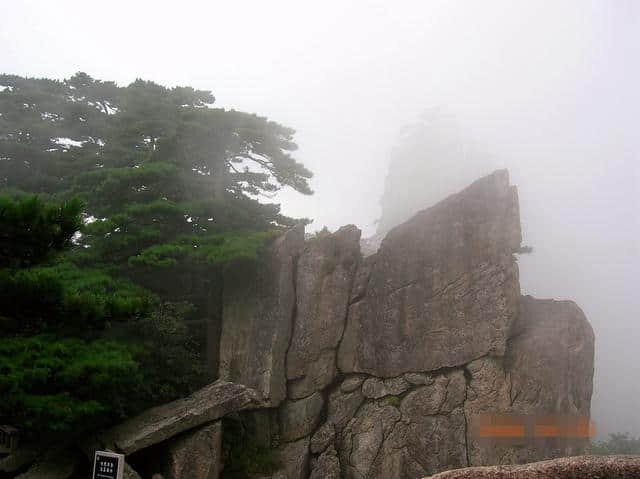 雾中登黄山：造化钟神秀 阴阳割昏晓