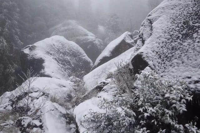 红装素裹踏雪行 自虐徒穿任平生