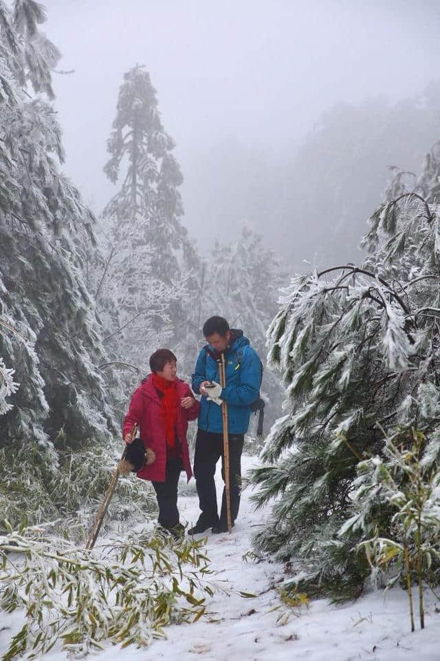 红装素裹踏雪行 自虐徒穿任平生