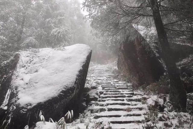 红装素裹踏雪行 自虐徒穿任平生