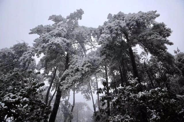 红装素裹踏雪行 自虐徒穿任平生