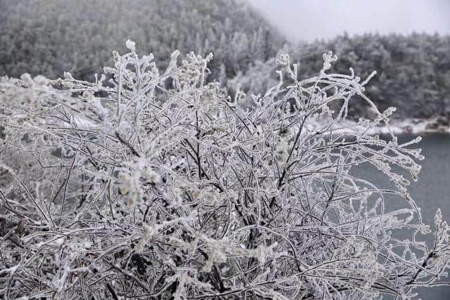 红装素裹踏雪行 自虐徒穿任平生