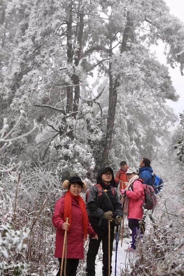 红装素裹踏雪行 自虐徒穿任平生