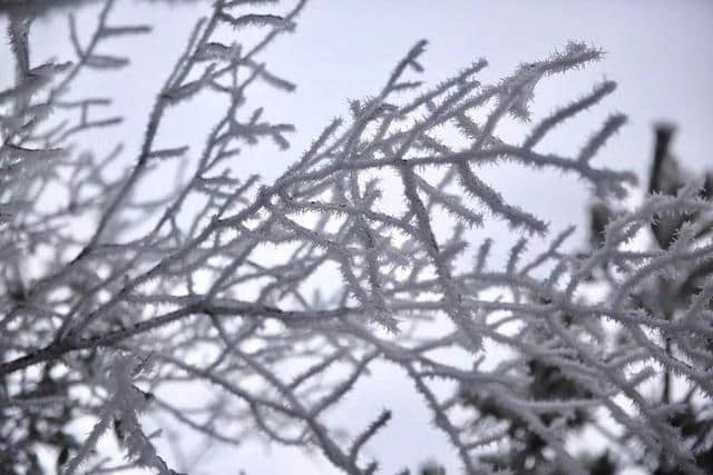 红装素裹踏雪行 自虐徒穿任平生