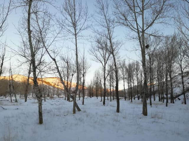 乙亥年采凉踏雪一日行