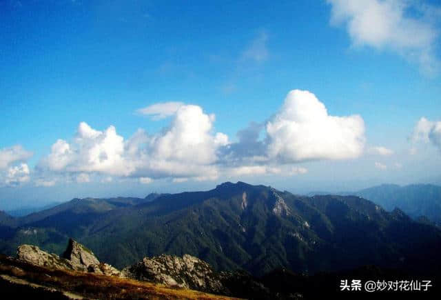 小花邀对：云横秦岭，八千里路风和雪