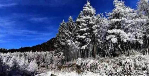 小花邀对：云横秦岭，八千里路风和雪