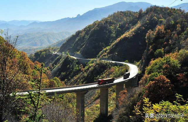 小花邀对：云横秦岭，八千里路风和雪