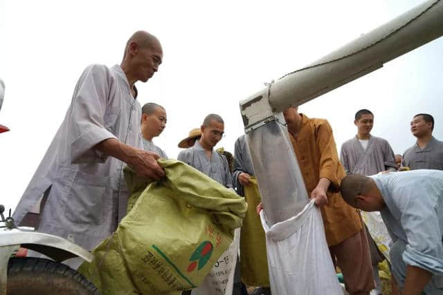 广东云门寺10月27日举行收稻活动，欢迎您来体验农禅生活