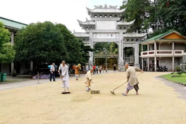 广东云门寺10月27日举行收稻活动，欢迎您来体验农禅生活