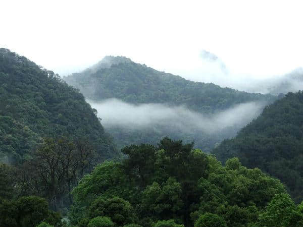 灵山幽泉云门寺