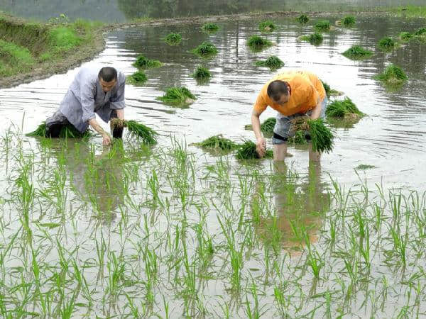 灵山幽泉云门寺