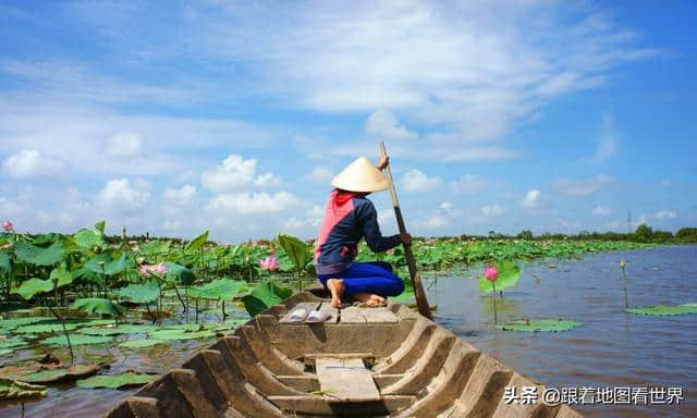 为什么越南人大多数都姓“阮”？