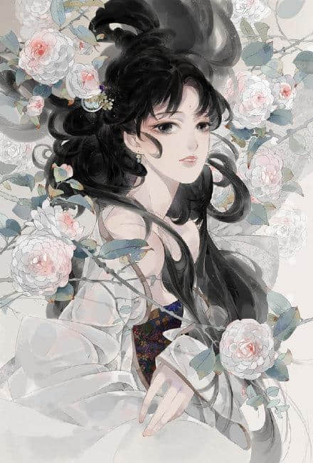 “云想衣裳花想容，春风拂槛露华浓”｜古风插画