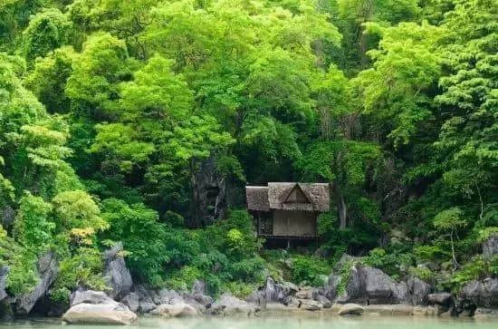 烟雨夜读｜云横秦岭家何在