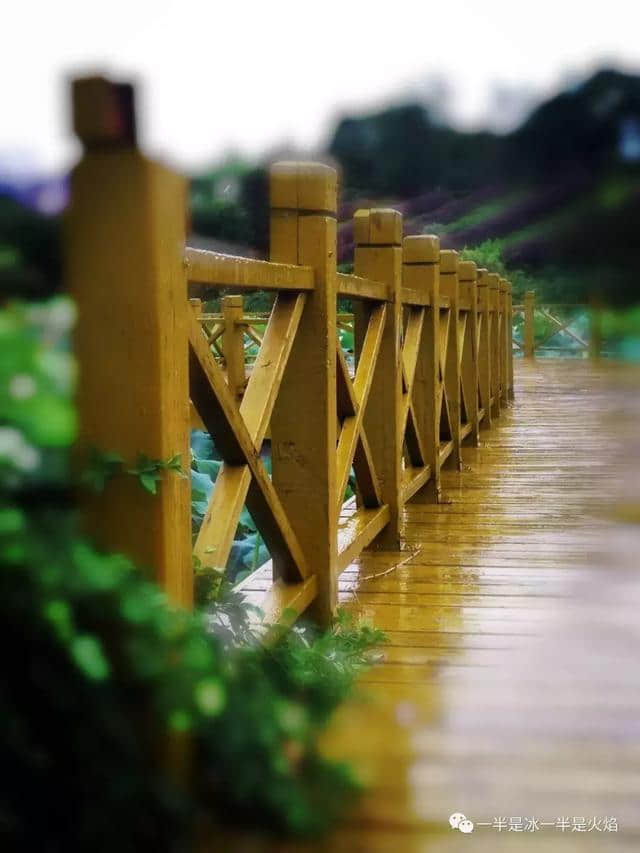 现代诗：自由行走的雨