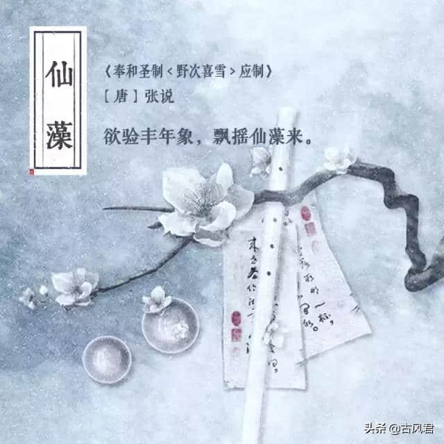 “雪”的20种别称，看完才知道中文博大精深