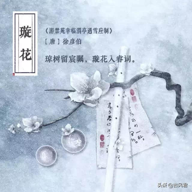 “雪”的20种别称，看完才知道中文博大精深