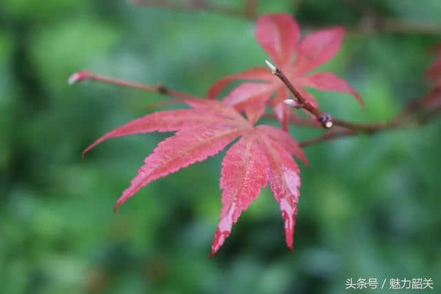 韶关云门寺，禅的味道